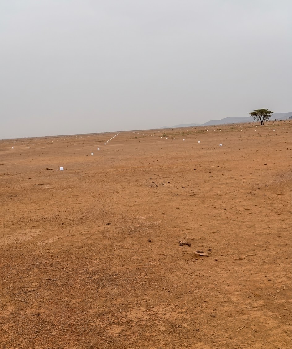 Terrain Sanghé — Thiès vue 2